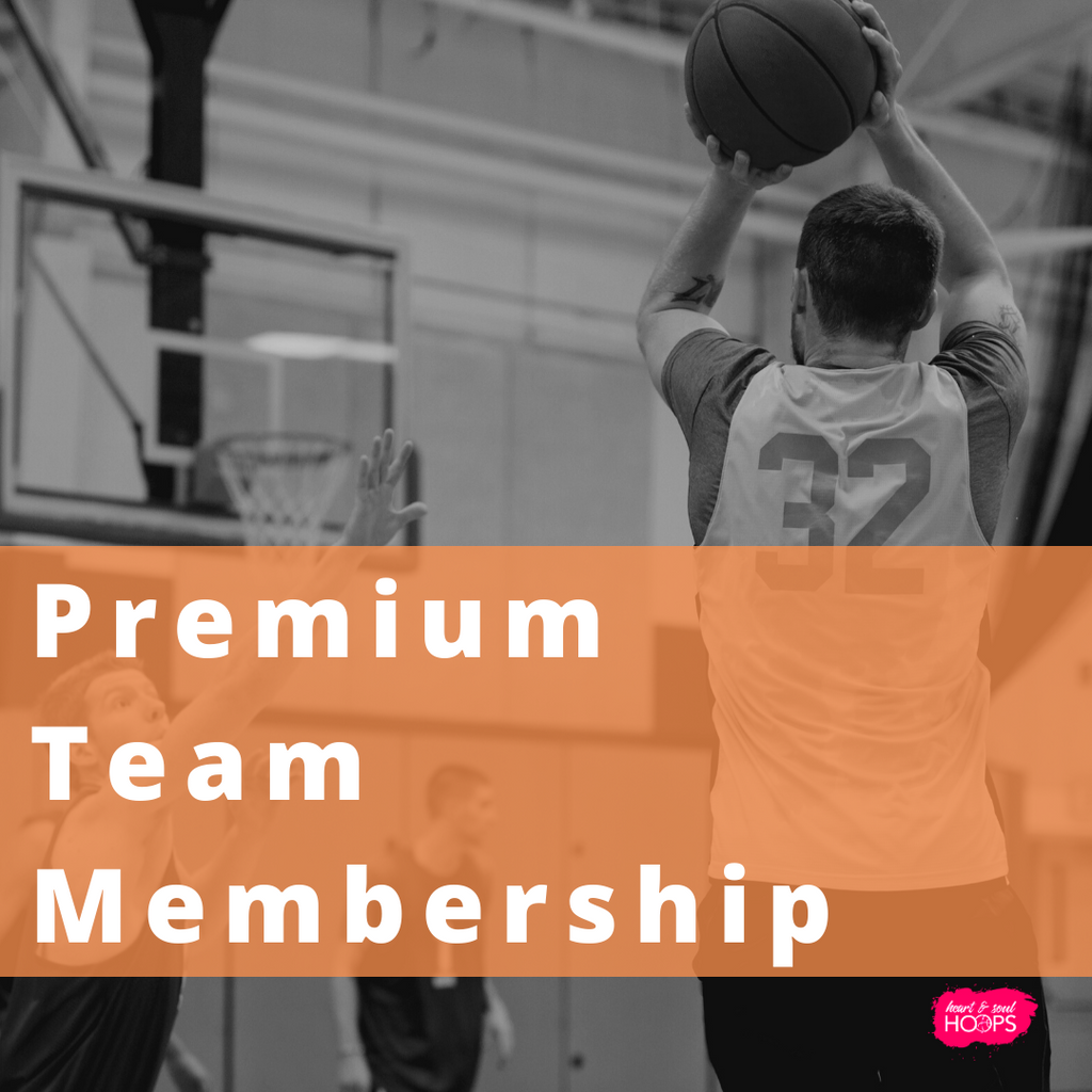 Premium Team Membership (Term)